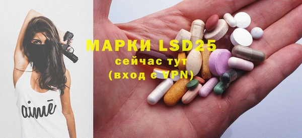 PSILOCYBIN Богородицк