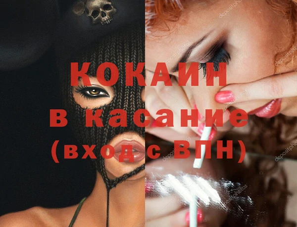 мдпв Богородск