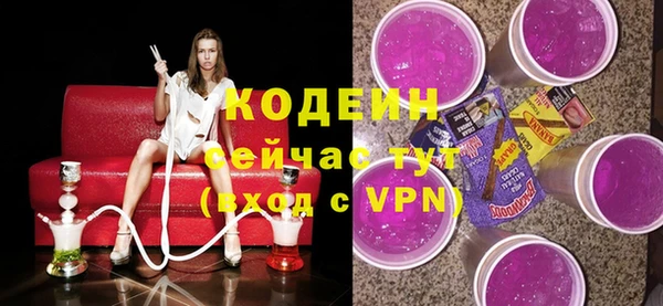 мдпв Богородск