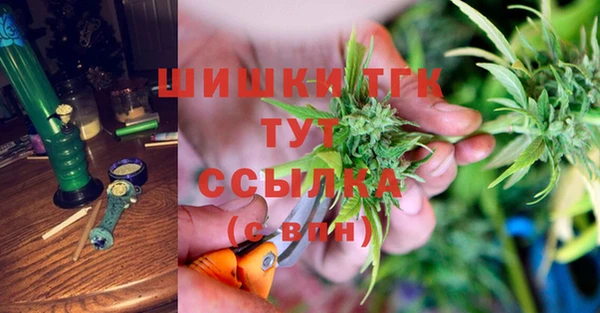 мдпв Богородск