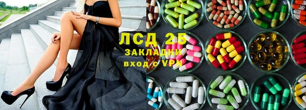 PSILOCYBIN Богородицк
