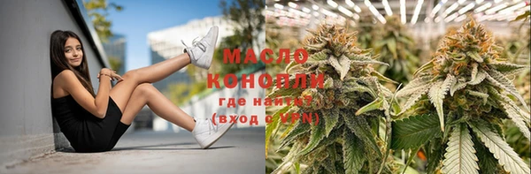 мдпв Богородск