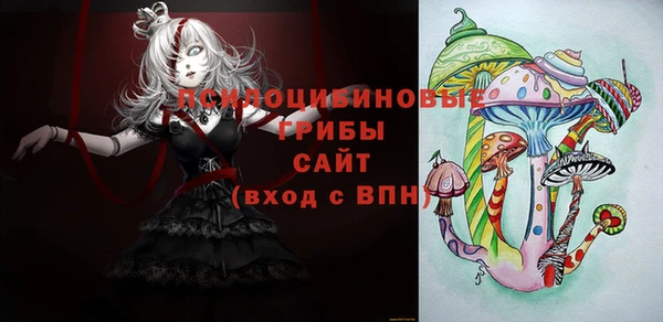PSILOCYBIN Богородицк
