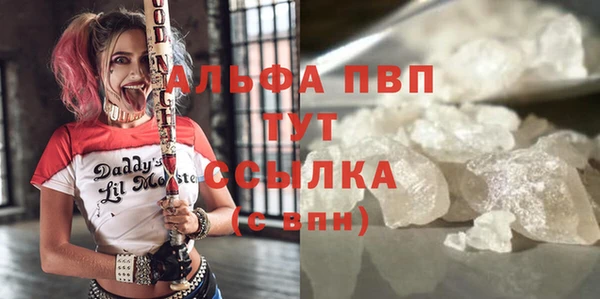 PSILOCYBIN Богородицк