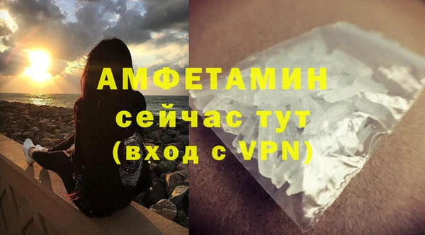 мдпв Богородск