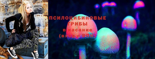 соль курить ск Богданович