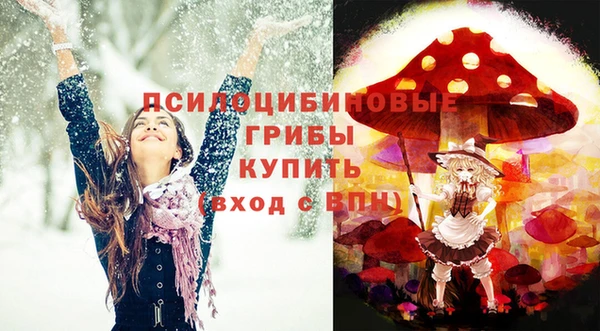 PSILOCYBIN Богородицк